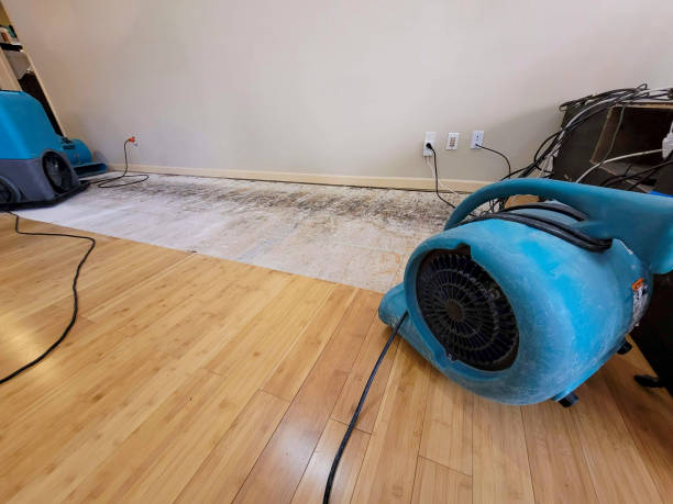 Professional Water Damage Repair technician working in Tarpley, TX